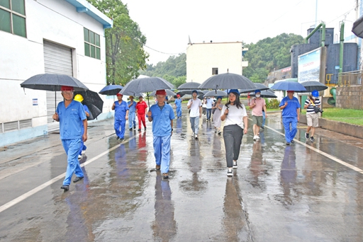 全国主流媒体走进新w66利来最给利集团树脂公司